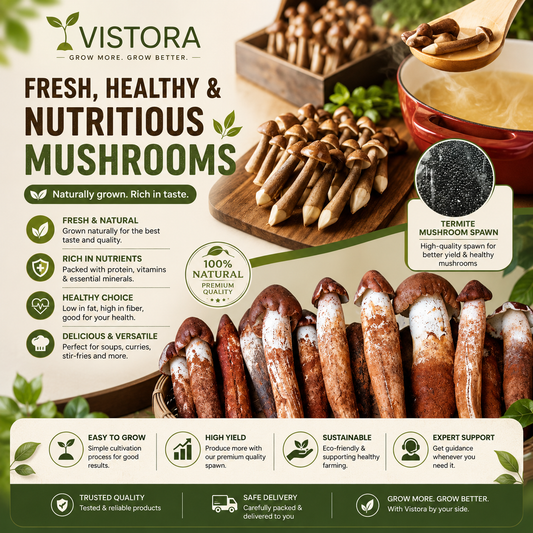 🥳2026 HOT SALE🥳💞50K+ SOLD!✨Premium Organic Mushroom Harvest Grow Kit Seeds – Buy 1 Get 1 Free
