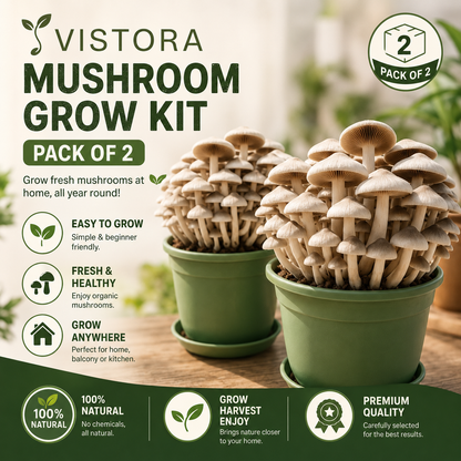 🥳2026 HOT SALE🥳💞50K+ SOLD!✨Premium Organic Mushroom Harvest Grow Kit Seeds – Buy 1 Get 1 Free