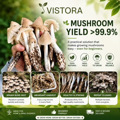 🥳2026 HOT SALE🥳💞50K+ SOLD!✨Premium Organic Mushroom Harvest Grow Kit Seeds – Buy 1 Get 1 Free