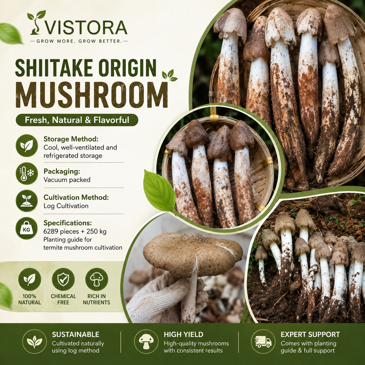 🥳2026 HOT SALE🥳💞50K+ SOLD!✨Premium Organic Mushroom Harvest Grow Kit Seeds – Buy 1 Get 1 Free